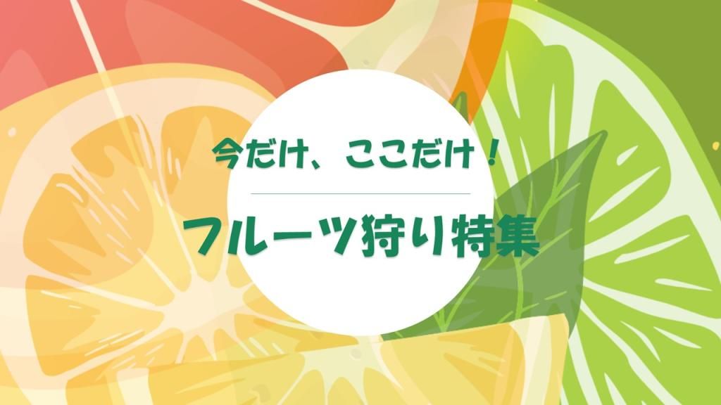 今しか味わえない贅沢を体験しませんか？
ご家族やご友人と楽しめる、お得な果物狩りクーポンを大特集！