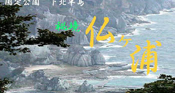 tag2